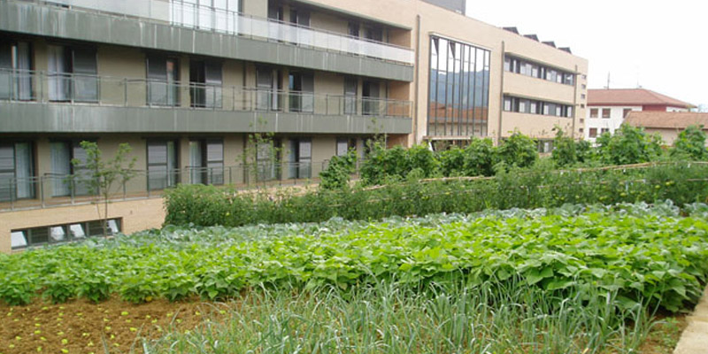 #nivoslider-IGBRv-8222-caption-4